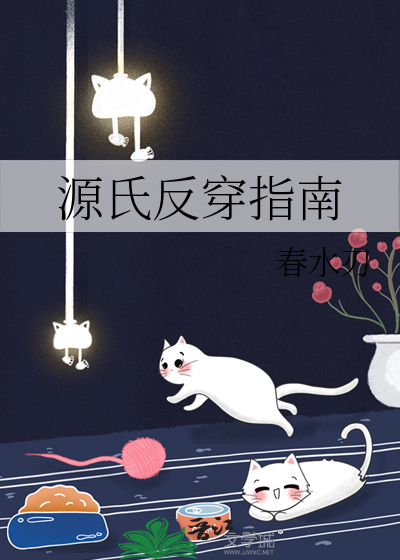 源氏反穿指南